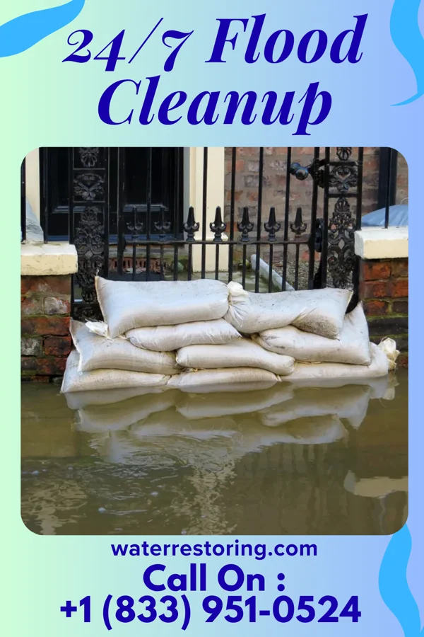 24/7 Flood Cleanup in Townsend, DE