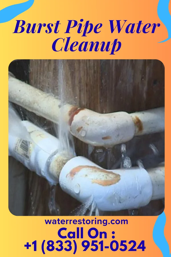 Burst Pipe Water Cleanup in Townsend, DE