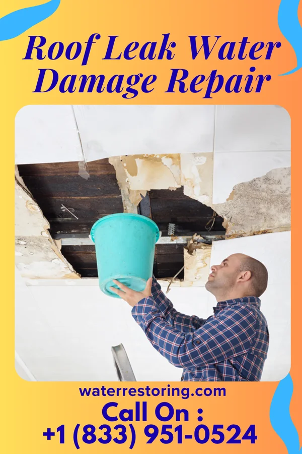 Roof Leak Water Damage Repair in Townsend, DE