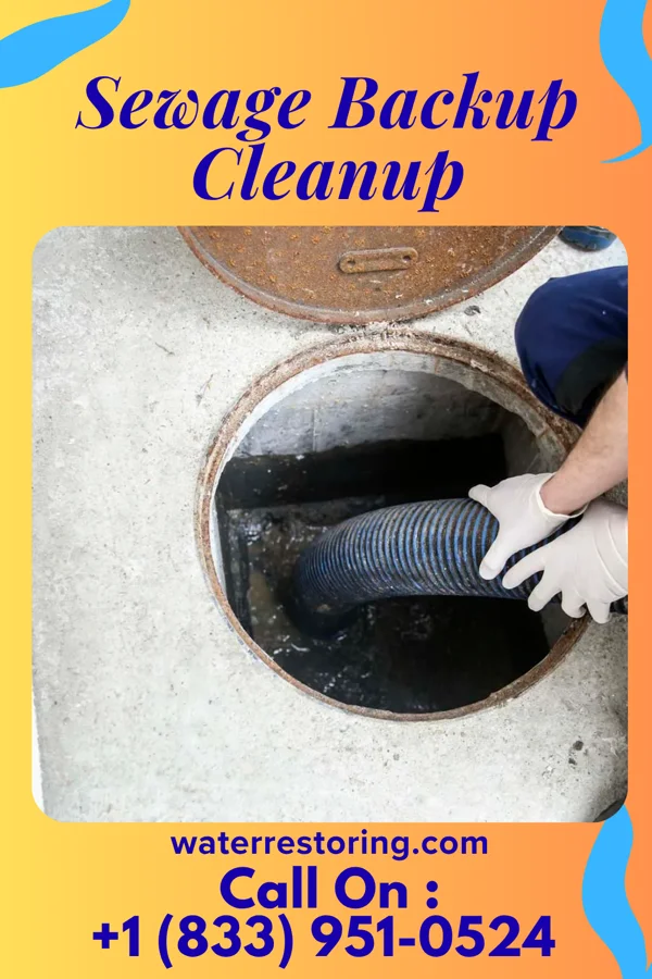 Sewage Backup Cleanup in Townsend, DE