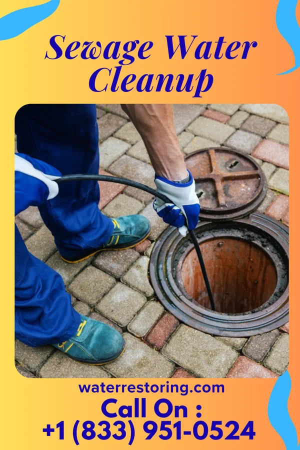 Sewage Water Cleanup in Townsend, DE