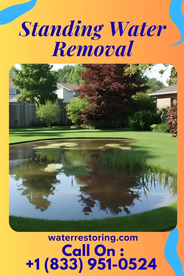 Standing Water Removal in Townsend, DE